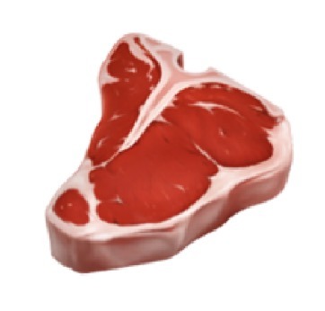 steak icon